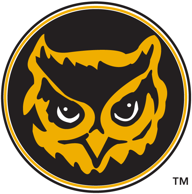 Kennesaw State Owls 1992-2011 Alternate Logo diy DTF decal sticker